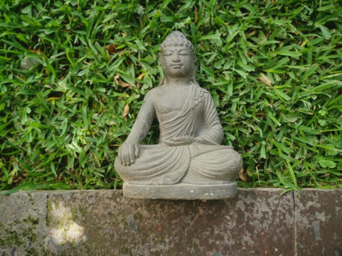 Mocca Hotels Tepoztlán Eksteriør bilde